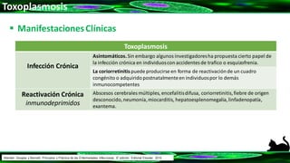 Toxoplasmosis
 ManifestacionesClínicas
Toxoplasmosis
Infección Crónica
Asintomáticos.Sin embargo algunos investigadoresha propuesta cierto papel de
la infección crónica en individuoscon accidentesde trafico o esquizofrenia.
La coriorretinitis puede producirse en forma de reactivaciónde un cuadro
congénito o adquiridopostnatalmenteen individuospor lo demás
inmunocompetentes
Reactivación Crónica
inmunodeprimidos
Abscesos cerebrales múltiples, encefalitisdifusa, coriorretinitis,fiebre de origen
desconocido,neumonía,miocarditis, hepatoesplenomegalia,linfadenopatía,
exantema.
Mandell, Douglas y Bennett: Principios y Práctica de las Enfermedades Infecciosas. 8° edición. Editorial Elsevier. 2015.
 