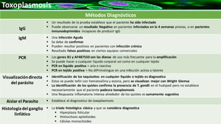 Toxoplasmosis
 a
Métodos Diagnósticos
IgG
 Un resultado de la prueba establece que el paciente ha sido infectado
 Puede observarse un resultado Negativo en pacientes infectados en la 4 semanas previas, o en pacientes
inmunodeprimidos incapaces de producir IgG
IgM  Una infección Aguda
 Se debe de confirmar
 Pueden resultar positivos en pacientes con infección crónica
 Resultado falsos positivos en ciertos equipos comerciales
PCR  Los genes B1 y AF487550 son las dianas de uso más frecuente para la amplificación
 Se puede hacer a cualquier liquido corporal así como en cualquier tejido
 PCR en liquido positiva = aria o reactiva
 PCR en tejido positiva = No diPrimstingue en una infección activa o latente
Visualizacióndirecta
del parásito
 Identificación de los taquizoitos en cualquier liquido o tejido es diagnostico
 Estos se puede teñir con hematoxilina y eosina, pero se visualizan mejor con Wright Giemsa
 La identificación de los quistes confirma la presencia de T. gondii en el huésped pero no establece
necesariamente que el paciente padezca toxoplasmosis
 Una Respuesta inflamatoria intensa alrededor de los quistes es sumamente sugestiva
Aislar el Parasito  Establece el diagnostico de toxoplasmosis
Histologíadel ganglio
linfático
 La triada histológica clásica y que se considera diagnostica
 Hiperplasia folicular
 Histiocitosis epitelioides
 Células monocitoides
 
