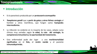 Toxoplasmosis
 Introducción
 Es la parasitosis producida por un protozoariocosmopolita
 Toxoplasma gondii que a partir de gatos y otros felinos contagia al
hombre y otros mamíferos, que fungen como huéspedes
intermediarios.
 La infección no evidente en la mayoría de los casos, adopta curso
clínicos muy variados según la edad, la ruta del contagio, la
competenciainmunitaria y la oportunidad del tratamiento.
 Esta enfermedad pude dar lugar a una morbimortalidad
significativa en el feto, el recién nacido y el paciente
inmunodeprimido.
Mandell, Douglas y Bennett: Principios y Práctica de las Enfermedades Infecciosas. 8° edición. Editorial Elsevier. 2015.
 