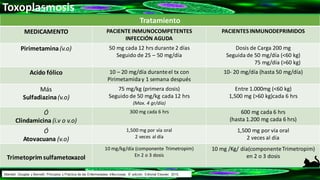 Tratamiento
MEDICAMENTO PACIENTE INMUNOCOMPETENTES
INFECCIÓN AGUDA
PACIENTES INMUNODEPRIMIDOS
Pirimetamina(v.o) 50 mg cada 12 hrs durante 2 días
Seguido de 25 – 50 mg/día
Dosis de Carga 200 mg
Seguida de 50 mg/día (<60 kg)
75 mg/día (>60 kg)
Acido fólico 10 – 20 mg/día duranteel tx con
Pirimetamiday 1 semana después
10- 20 mg/día (hasta 50 mg/día)
Más
Sulfadiazina(v.o)
75 mg/kg (primera dosis)
Seguido de 50 mg/kg cada 12 hrs
(Max. 4 gr/día)
Entre 1.000mg (<60 kg)
1,500 mg (>60 kg)cada 6 hrs
Ó
Clindamicina (i.v o v.o)
300 mg cada 6 hrs 600 mg cada 6 hrs
(hasta 1.200 mg cada 6 hrs)
Ó
Atovacuana (v.o)
1,500 mg por vía oral
2 veces al día
1,500 mg por vía oral
2 veces al día
Trimetoprimsulfametoxazol
10 mg/kg/día (componente Trimetropim)
En 2 o 3 dosis
10 mg /Kg/ día(componenteTrimetropim)
en 2 o 3 dosis
Toxoplasmosis
Mandell, Douglas y Bennett: Principios y Práctica de las Enfermedades Infecciosas. 8° edición. Editorial Elsevier. 2015.
 