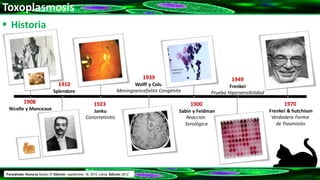 Toxoplasmosis
 Historia
1908
Nicolle y Manceaux
1923
Janku
Coriorretinitis
1910
Splendore
1939
Wolff y Cols.
Meningoencefalitis Congénita
1900
Sabin y Feldman
Reacción
Serológica
• a • a • a • a • a
1949
Frenkel
Prueba Hipersensibilidad
• a
1970
Frenkel & hutchison
Verdadera Forma
de Trasmisión
• a
Parasitosis Humana Botero 5ª Edición. septiembre 18, 2012 Libros Edición 2012
 