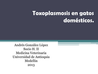 Toxoplasmosis en gatos
                      domésticos.


 Andrés González López
       Socio H. II
  Medicina Veterinaria
Universidad de Antioquia
        Medellín
         2013
 