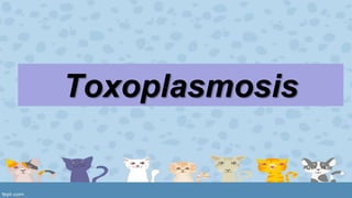 Toxoplasmosis 
 