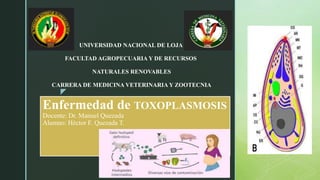 z
Enfermedad de TOXOPLASMOSIS
Docente: Dr. Manuel Quezada
Alumno: Héctor F. Quezada T.
UNIVERSIDAD NACIONAL DE LOJA
FACULTAD AGROPECUARIA Y DE RECURSOS
NATURALES RENOVABLES
CARRERA DE MEDICINA VETERINARIA Y ZOOTECNIA
 