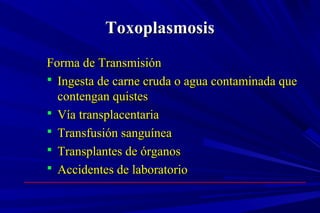 ToxoplasmosisToxoplasmosis
Forma de TransmisiónForma de Transmisión
 Ingesta de carne cruda o agua contaminada queIngesta de carne cruda o agua contaminada que
contengan quistescontengan quistes
 Vía transplacentariaVía transplacentaria
 Transfusión sanguíneaTransfusión sanguínea
 Transplantes de órganosTransplantes de órganos
 Accidentes de laboratorioAccidentes de laboratorio
 