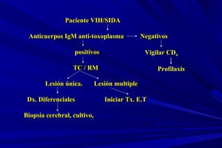 Paciente VIH/SIDAPaciente VIH/SIDA
Anticuerpos IgM anti-toxoplasma NegativosAnticuerpos IgM anti-toxoplasma Negativos
positivospositivos
TC / RMTC / RM
Lesión única. Lesión multipleLesión única. Lesión multiple
Dx. Diferenciales Iniciar Tx. E.TDx. Diferenciales Iniciar Tx. E.T
Biopsia cerebral, cultivo,Biopsia cerebral, cultivo,
Vigilar CD4
Profilaxis
 