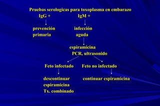 Pruebas serologicas para toxoplasma en embarazoPruebas serologicas para toxoplasma en embarazo
IgG + IgM +IgG + IgM +
prevención infecciónprevención infección
primaria agudaprimaria aguda
espiramicinaespiramicina
PCR, ultrasonidoPCR, ultrasonido
Feto infectado Feto no infectadoFeto infectado Feto no infectado
descontinuar continuar espiramicinadescontinuar continuar espiramicina
espiramicinaespiramicina
Tx. combinadoTx. combinado
 