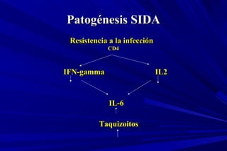 Patogénesis SIDAPatogénesis SIDA
Resistencia a la infecciónResistencia a la infección
IFN-gamma IL2IFN-gamma IL2
IL-6IL-6
TaquizoitosTaquizoitos
CD4
 