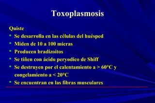 ToxoplasmosisToxoplasmosis
QuisteQuiste
 Se desarrolla en las células del huéspedSe desarrolla en las células del huésped
 Miden de 10 a 100 micrasMiden de 10 a 100 micras
 Producen bradizoitosProducen bradizoitos
 Se tiñen con ácido peryodico de ShiffSe tiñen con ácido peryodico de Shiff
 Se destruyen por el calentamiento a > 60°C ySe destruyen por el calentamiento a > 60°C y
congelamiento a < 20°Ccongelamiento a < 20°C
 Se encuentran en las fibras muscularesSe encuentran en las fibras musculares
 
