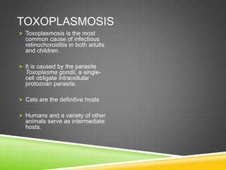 TOXOPLASMOSIS
 Toxoplasmosis is the most
common cause of infectious
retinochoroiditis in both adults
and children.
 It is caused by the parasite
Toxoplasma gondii, a single-
cell obligate intracellular
protozoan parasite.
 Cats are the definitive hosts
 Humans and a variety of other
animals serve as intermediate
hosts.
 