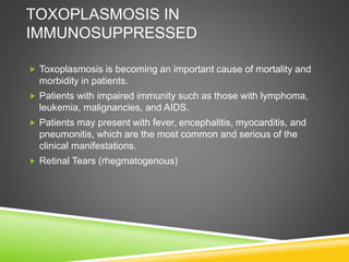 TOXOPLASMOSIS IN
IMMUNOSUPPRESSED
 Toxoplasmosis is becoming an important cause of mortality and
morbidity in patients.
 Patients with impaired immunity such as those with lymphoma,
leukemia, malignancies, and AIDS.
 Patients may present with fever, encephalitis, myocarditis, and
pneumonitis, which are the most common and serious of the
clinical manifestations.
 Retinal Tears (rhegmatogenous)
 