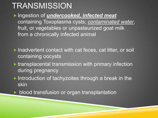 TRANSMISSION
 Ingestion of undercooked, infected meat
containing Toxoplasma cysts; contaminated water,
fruit, or vegetables or unpasteurized goat milk
from a chronically infected animal
 Inadvertent contact with cat feces, cat litter, or soil
containing oocysts
 transplacental transmission with primary infection
during pregnancy
 Introduction of tachyzoites through a break in the
skin
 blood transfusion or organ transplantation
 
