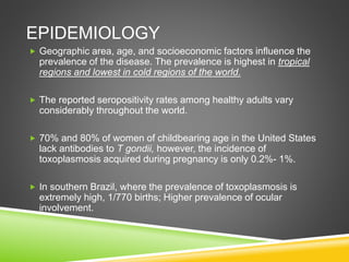 EPIDEMIOLOGY
 Geographic area, age, and socioeconomic factors influence the
prevalence of the disease. The prevalence is highest in tropical
regions and lowest in cold regions of the world.
 The reported seropositivity rates among healthy adults vary
considerably throughout the world.
 70% and 80% of women of childbearing age in the United States
lack antibodies to T gondii, however, the incidence of
toxoplasmosis acquired during pregnancy is only 0.2%- 1%.
 In southern Brazil, where the prevalence of toxoplasmosis is
extremely high, 1/770 births; Higher prevalence of ocular
involvement.
 