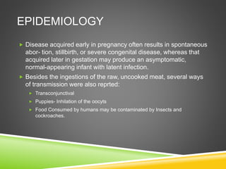 EPIDEMIOLOGY
 Disease acquired early in pregnancy often results in spontaneous
abor- tion, stillbirth, or severe congenital disease, whereas that
acquired later in gestation may produce an asymptomatic,
normal-appearing infant with latent infection.
 Besides the ingestions of the raw, uncooked meat, several ways
of transmission were also reprted:
 Transconjunctival
 Puppies- Inhilation of the oocyts
 Food Consumed by humans may be contaminated by Insects and
cockroaches.
 