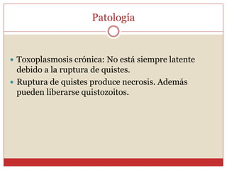 Toxoplasmosis ok