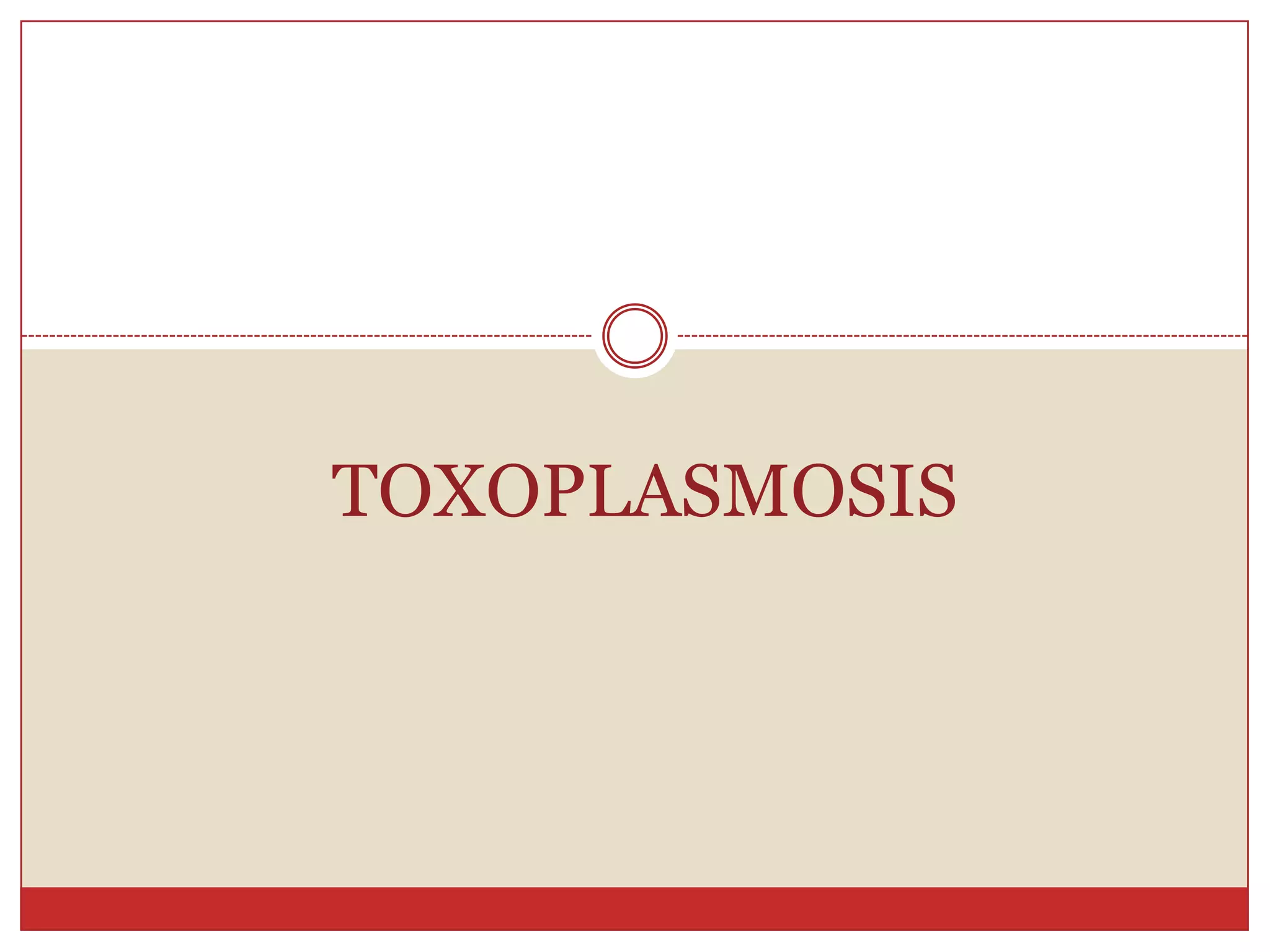 Formas de expresión