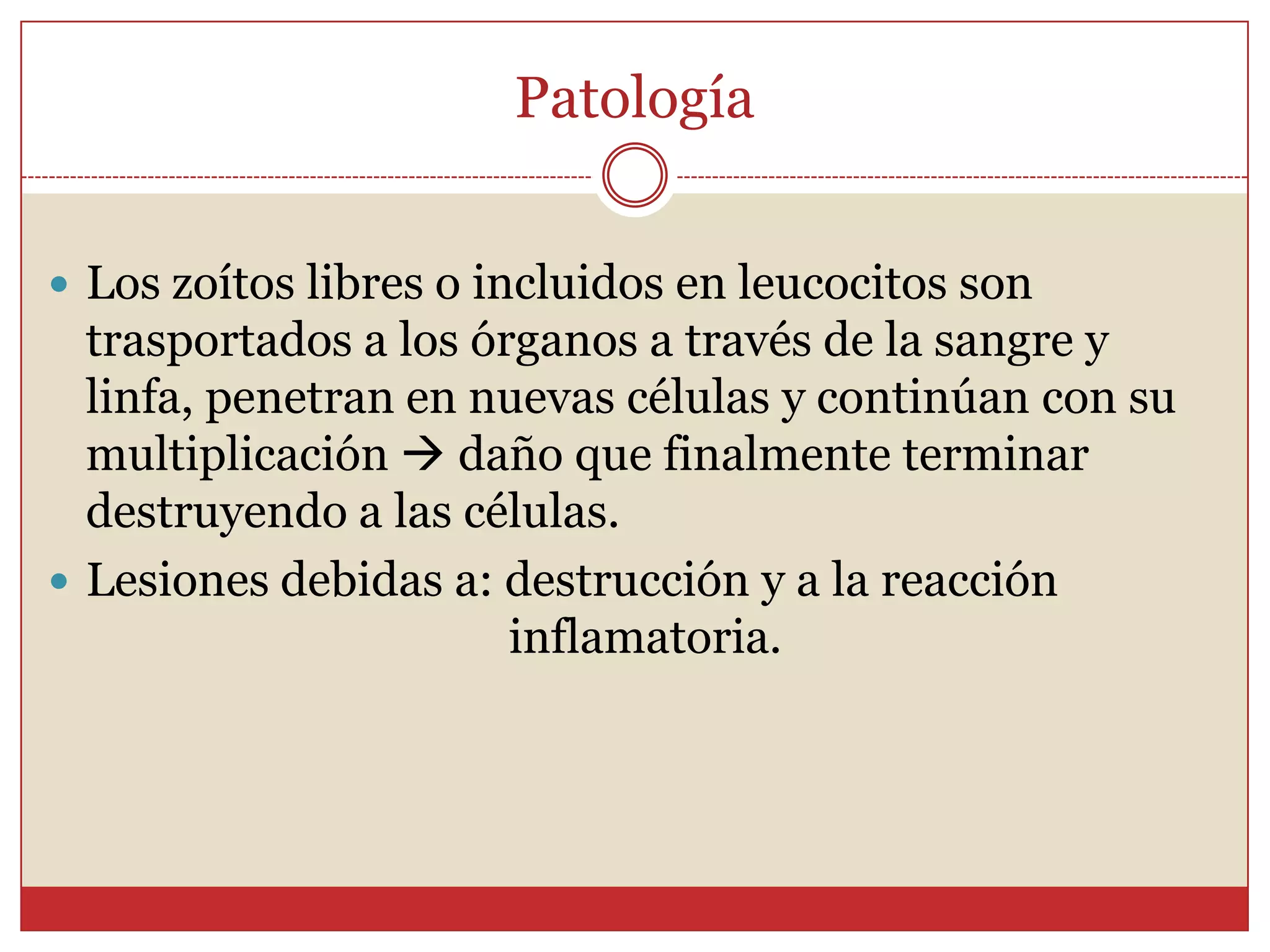 Epidemiología a Nivel Mundial77%15%54%44.8%35%3:10.00043%45%59-78%40-50%En Europa el 30-60 % ocurre por comer carne mal cocida o cruda
