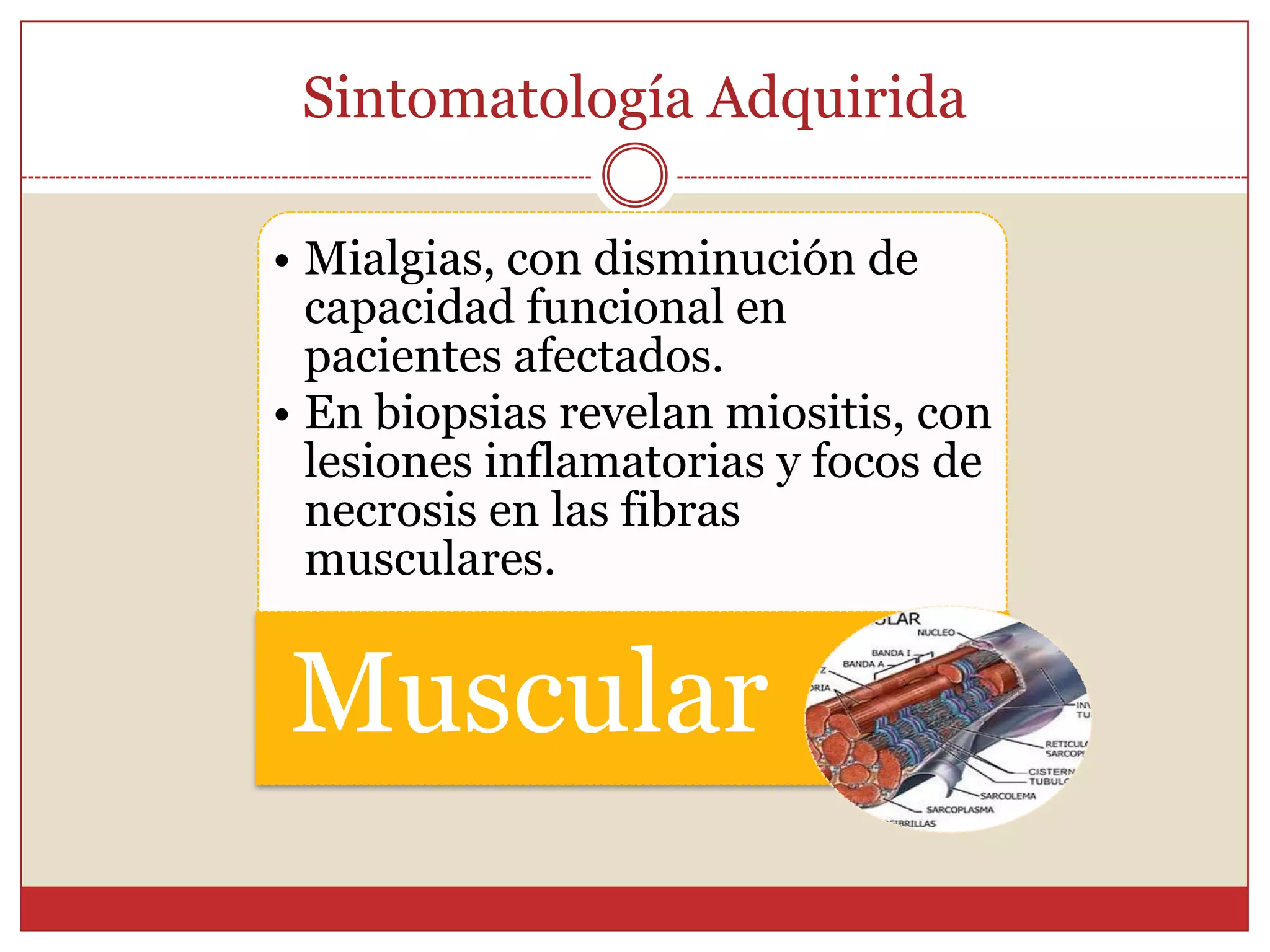 SintomatologíaToxoplasmosis adquirida:Fase inicial:Molestias vagas y mal definidas astenia, febrículas, cefalea, eritema cutáneo, mialgias, artralgias, nauseas y ocasionalmente diarrea. 