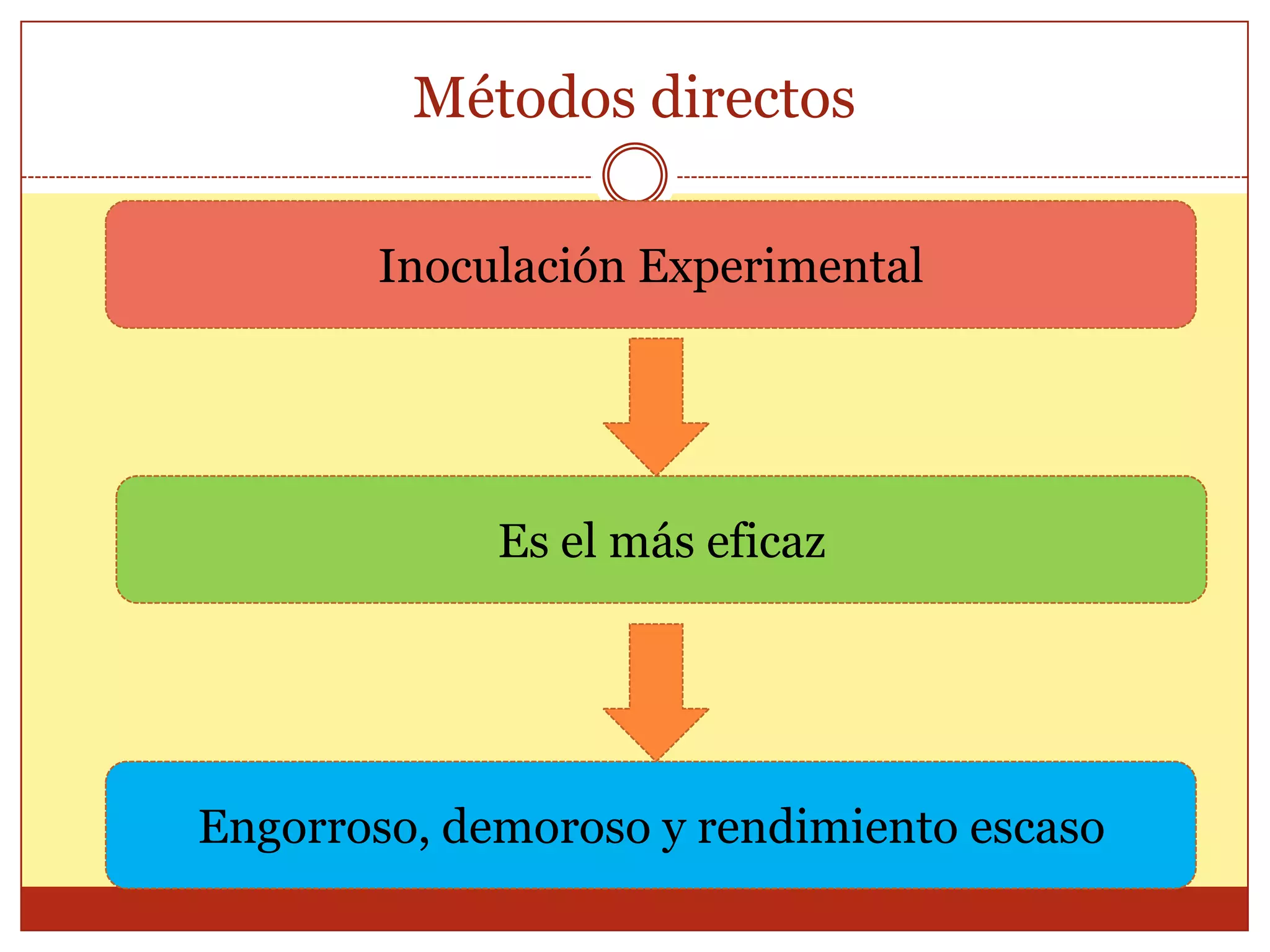 Métodos directosDiagnóstico de toxoplasmosis
