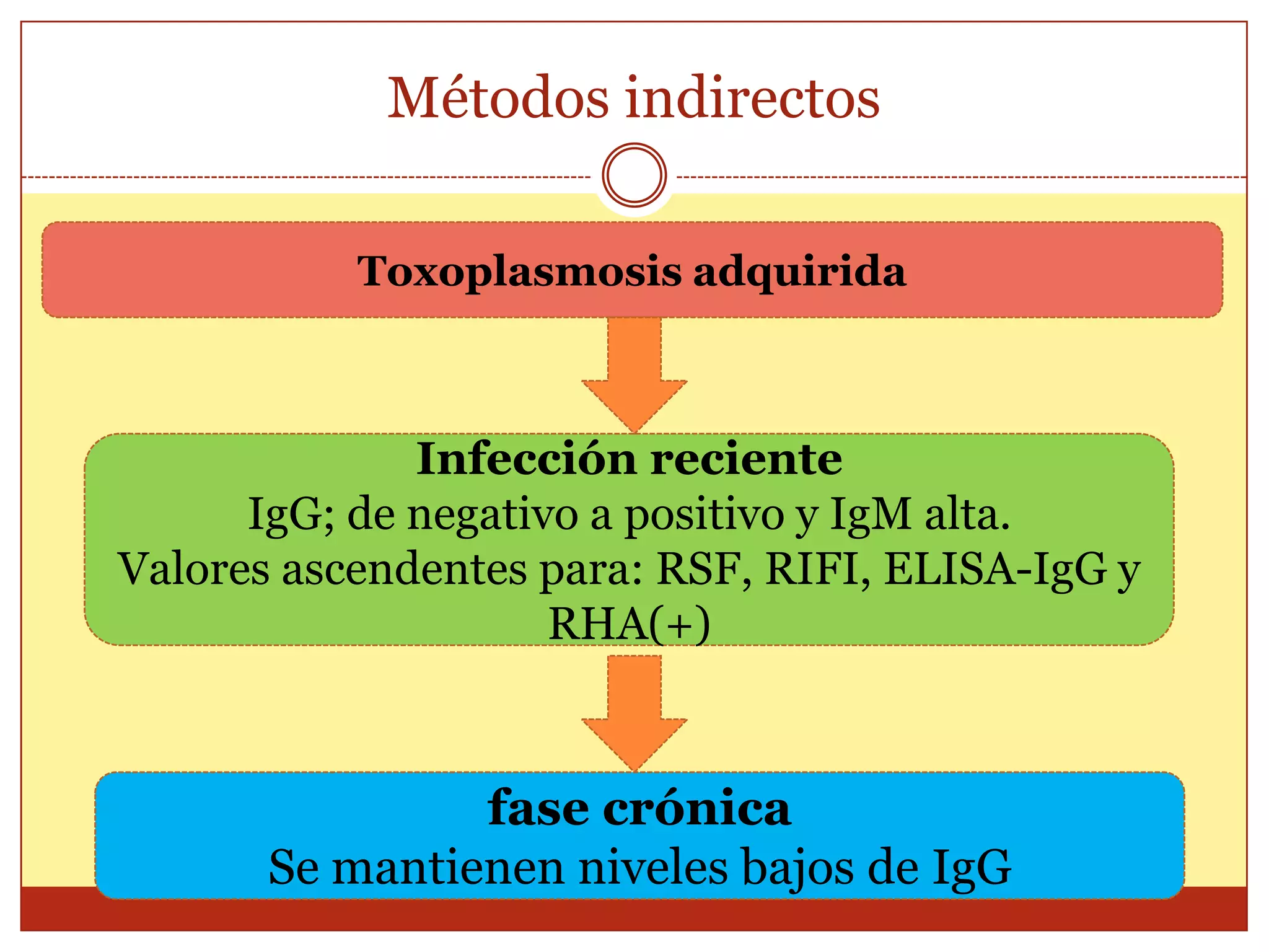 Métodos indirectosDiagnóstico de toxoplasmosis