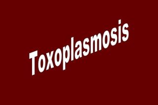 Toxoplasmosis 