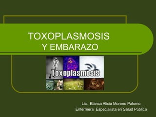 TOXOPLASMOSIS
Y EMBARAZO
Lic. Blanca Alicia Moreno Palomo
Enfermera Especialista en Salud Pública
 