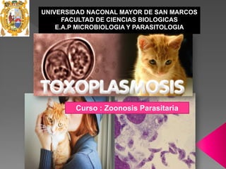 UNIVERSIDAD NACONAL MAYOR DE SAN MARCOS
FACULTAD DE CIENCIAS BIOLOGICAS
E.A.P MICROBIOLOGIA Y PARASITOLOGIA
Curso : Zoonosis Parasitaria
 