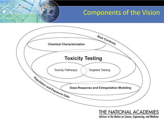 Components of the Vision
 