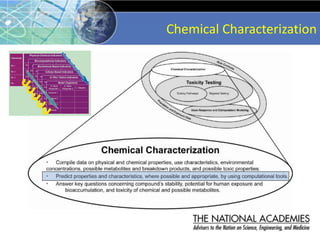 Chemical Characterization
 