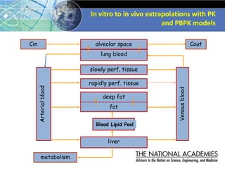 In vitro to in vivo extrapolations with PK
and PBPK models
Arterial
blood alveolar space
lung blood
rapidly perf. tissue
deep fat
fat
liver
metabolism
slowly perf. tissue
Venous
blood
Cin Cout
lipid pool
Blood Lipid Pool
 