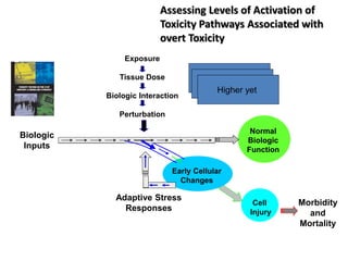 Biologic
Inputs
Normal
Biologic
Function
Morbidity
and
Mortality
Cell
Injury
Adaptive Stress
Responses
Early Cellular
Changes
Exposure
Tissue Dose
Biologic Interaction
Perturbation
Low Dose
Higher Dose
Higher yet
Assessing Levels of Activation of
Toxicity Pathways Associated with
overt Toxicity
 