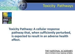 Toxicity Pathways
Toxicity Pathway: A cellular response
pathway that, when sufficiently perturbed,
is expected to result in an adverse health
effect.
 