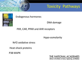Nrf2 oxidative stress
Heat-shock proteins
P38 MAPK
PXR, CAR, PPAR and AhR receptors
Hypo-osmolarity
DNA damage
Endogenous hormones
Toxicity Pathways
 