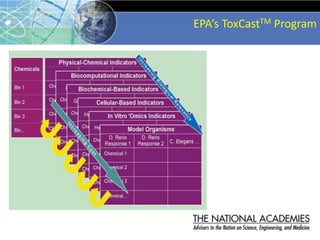 EPA’s ToxCastTM Program
 