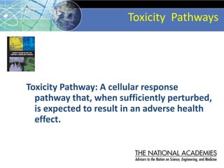 Toxicity Pathways
Toxicity Pathway: A cellular response
pathway that, when sufficiently perturbed,
is expected to result i...
