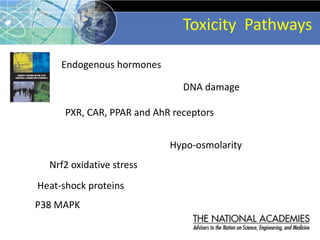 Nrf2 oxidative stress
Heat-shock proteins
P38 MAPK
PXR, CAR, PPAR and AhR receptors
Hypo-osmolarity
DNA damage
Endogenous ...