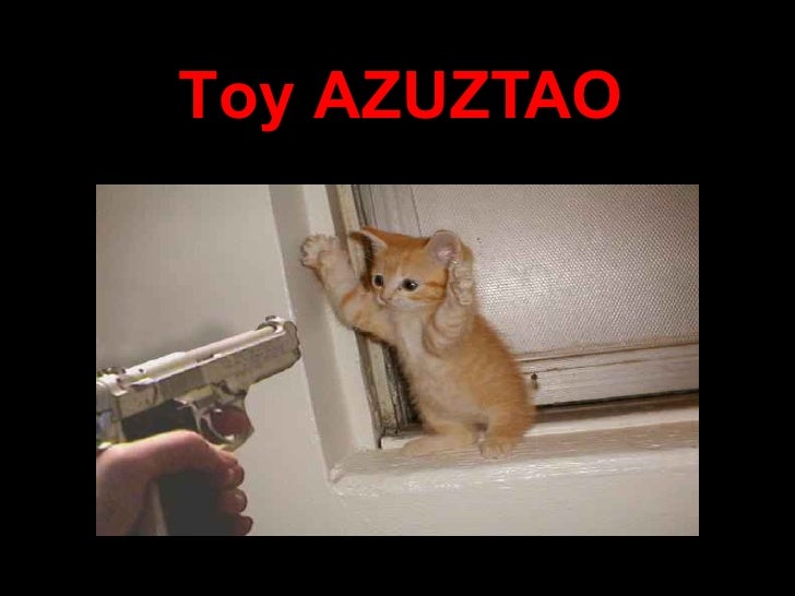 toy-gatos-9-728.jpg