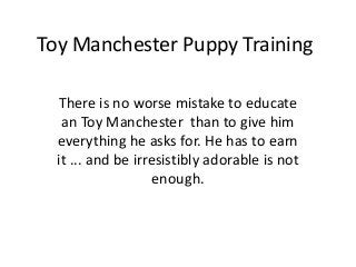 Toy Manchester Puppy Training

  There is no worse mistake to educate
   an Toy Manchester than to give him
  everything he asks for. He has to earn
  it ... and be irresistibly adorable is not
                    enough.
 