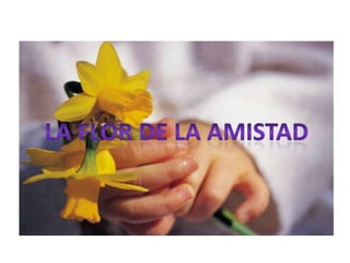 LA FLOR DE LA AMISTAD
