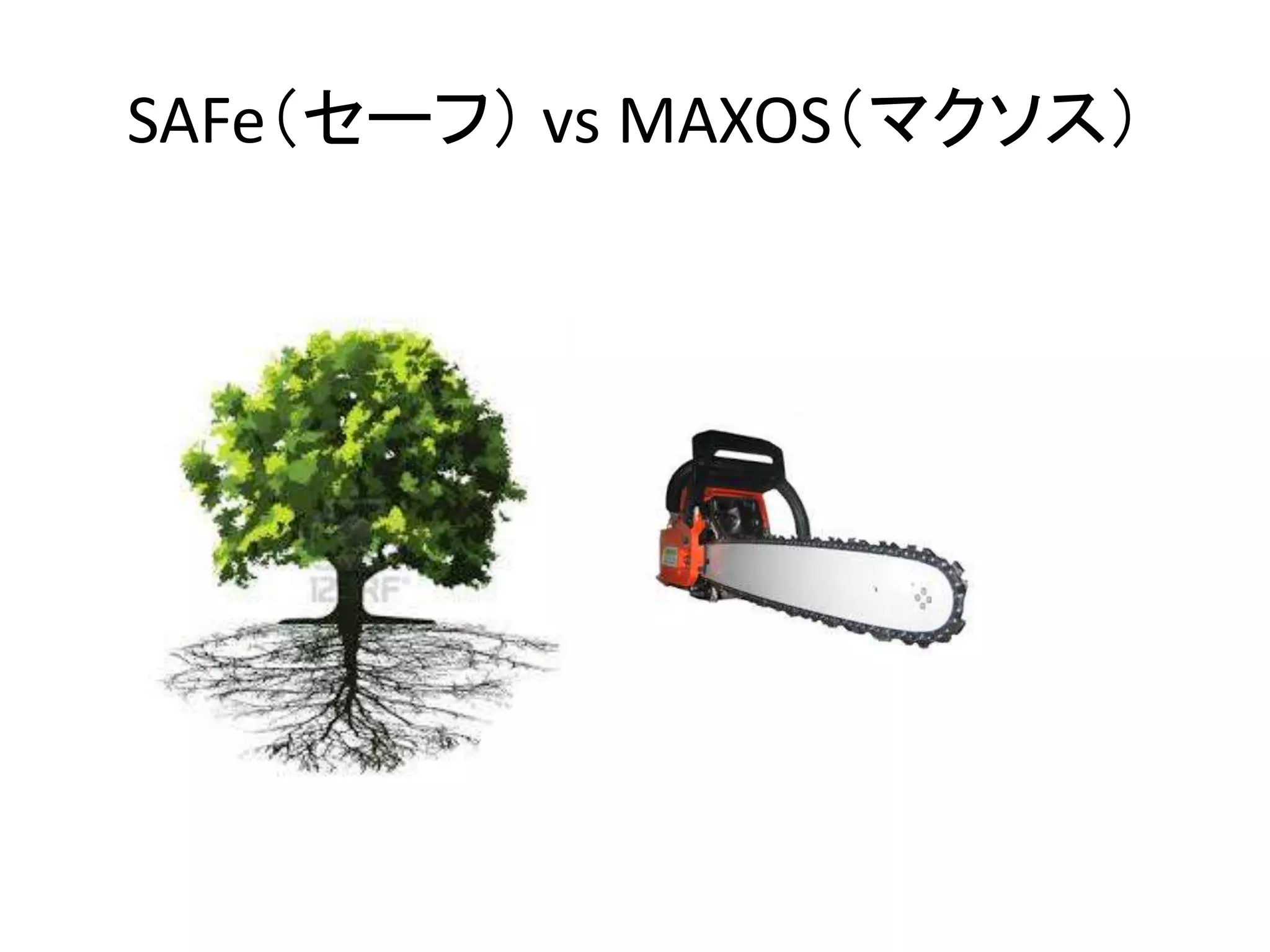 SAFe（セーフ） vs MAXOS（マクソス）
 