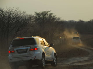 Collection of SpecimensWith University of Johannesburg