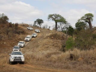 collection for DNA bar-coding purposesResearchers from Zimbabwe and Malawi invited to attend a course hosted at UJ in DNA bar-coding techniques in 2010.