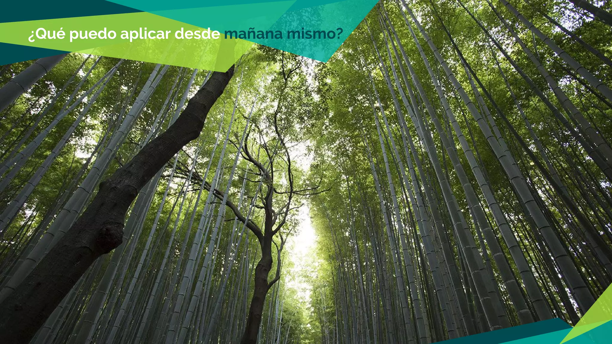 ¿Qué puedo aplicar desde mañana mismo?
 