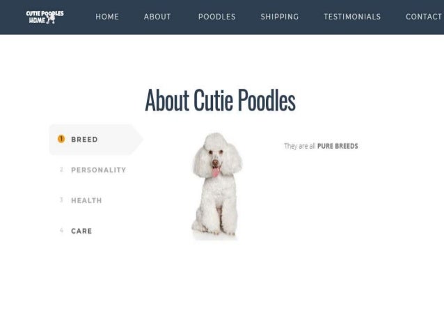 micro poodle puppies for sale