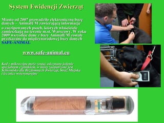 System Ewidencji Zwierząt Miasto od 2007 prowadziło elektroniczną bazę danych – AnimalUM zawierającą informacje  o zaczipowanych psach, których właściciele zamieszkują na terenie m.st. Warszawy. W roku 2009 wszystkie dane z bazy AnimalUM zostały przekazane do międzynarodowej bazy danych  SAFE-ANIMAL w ww.safe-animal.eu Kod z mikroczipa może zostać odczytany jedynie specjalnym czytnikiem, w który zaopatrzone jest Schronisko dla Bezdomnych Zwierząt, Straż Miejska  i lecznice weterynaryjne 