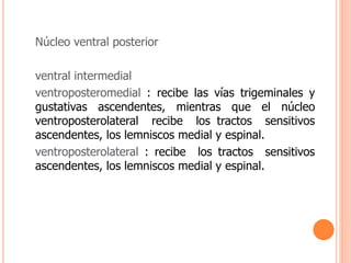 Núcleo ventral posterior 
ventral intermedial 
ventroposteromedial : recibe las vías trigeminales y 
gustativas ascendentes, mientras que el núcleo 
ventroposterolateral recibe los tractos sensitivos 
ascendentes, los lemniscos medial y espinal. 
ventroposterolateral : recibe los tractos sensitivos 
ascendentes, los lemniscos medial y espinal. 
 