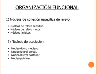 ORGANIZACIÓN FUNCIONAL 
1) Núcleos de conexión específica de relevo 
 Núcleos de relevo sensitivo 
 Núcleos de relevo motor 
 Núcleos límbicos 
2) Núcleos de asociación 
 Núcleo dorso mediano. 
 Núcleo lateral dorsal. 
 Núcleo lateral posterior 
 Núcleo pulvinar. 
 