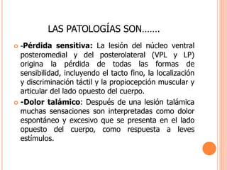 LAS PATOLOGÍAS SON……. 
 -Pérdida sensitiva: La lesión del núcleo ventral 
posteromedial y del posterolateral (VPL y LP) 
origina la pérdida de todas las formas de 
sensibilidad, incluyendo el tacto fino, la localización 
y discriminación táctil y la propiocepción muscular y 
articular del lado opuesto del cuerpo. 
 -Dolor talámico: Después de una lesión talámica 
muchas sensaciones son interpretadas como dolor 
espontáneo y excesivo que se presenta en el lado 
opuesto del cuerpo, como respuesta a leves 
estímulos. 
 