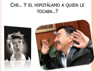 CHE.. Y EL HIPOTÁLAMO A QUIEN LE 
TOCABA..? 
 