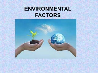 ENVIRONMENTAL
FACTORS
 